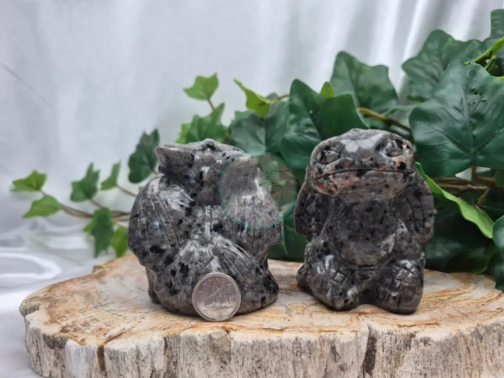 YOOPERLITE TOOTHLESS