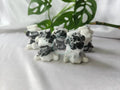 ZEBRA JASPER COW